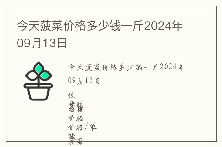 今天菠菜價格多少錢一斤2024年09月13日