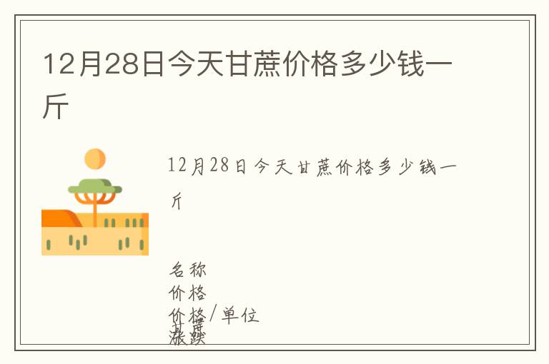 12月28日今天甘蔗價格多少錢一斤