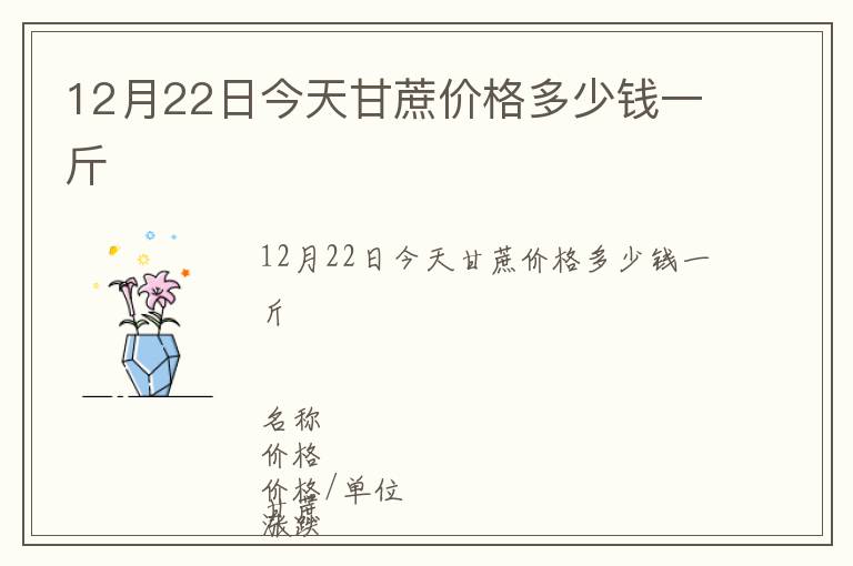 12月22日今天甘蔗價格多少錢一斤