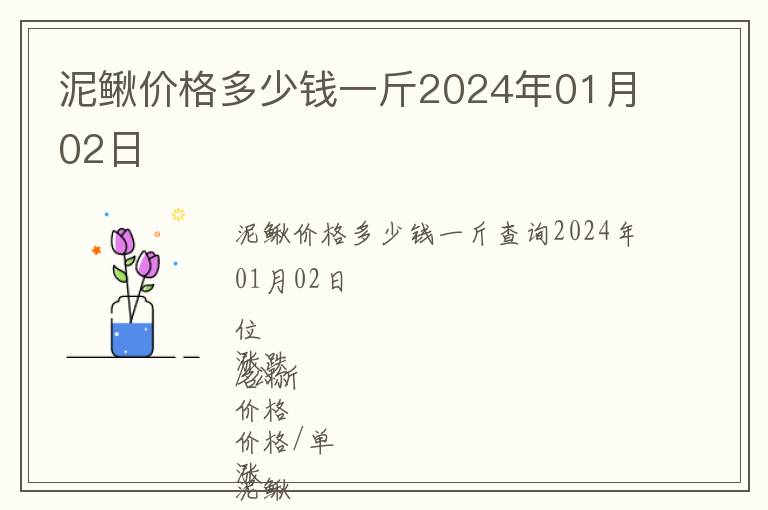 泥鰍價格多少錢一斤2024年01月02日