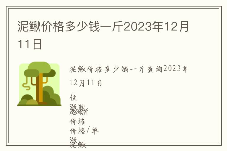 泥鰍價格多少錢一斤2023年12月11日