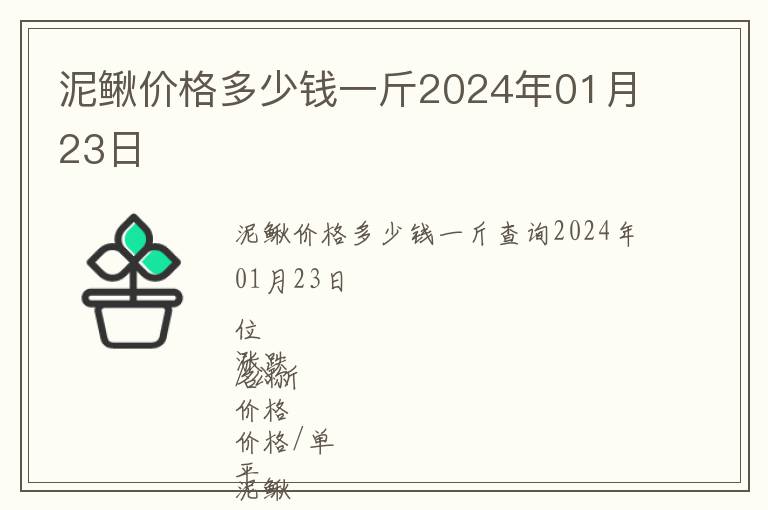 泥鰍價格多少錢一斤2024年01月23日