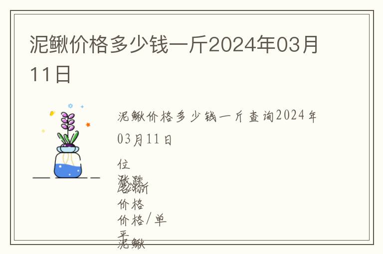 泥鰍價格多少錢一斤2024年03月11日