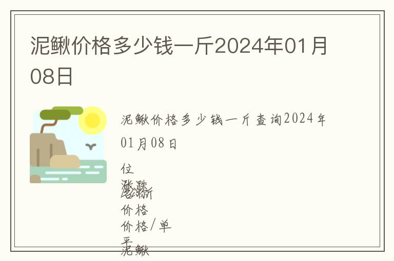 泥鰍價格多少錢一斤2024年01月08日