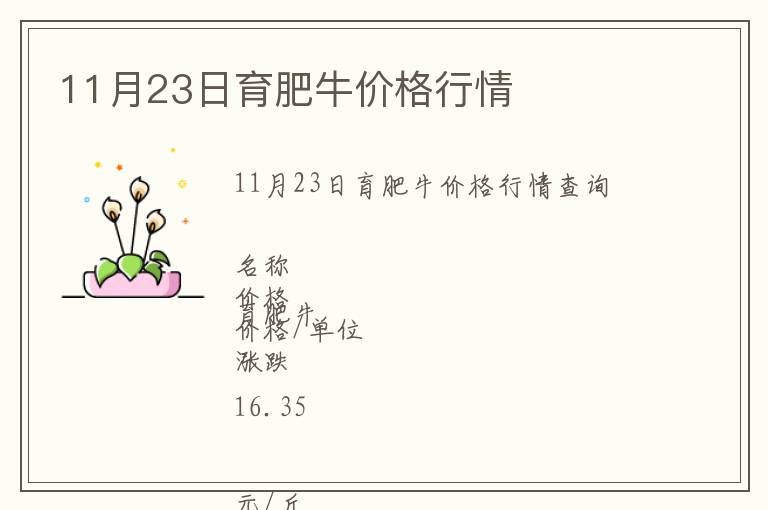 11月23日育肥牛價格行情