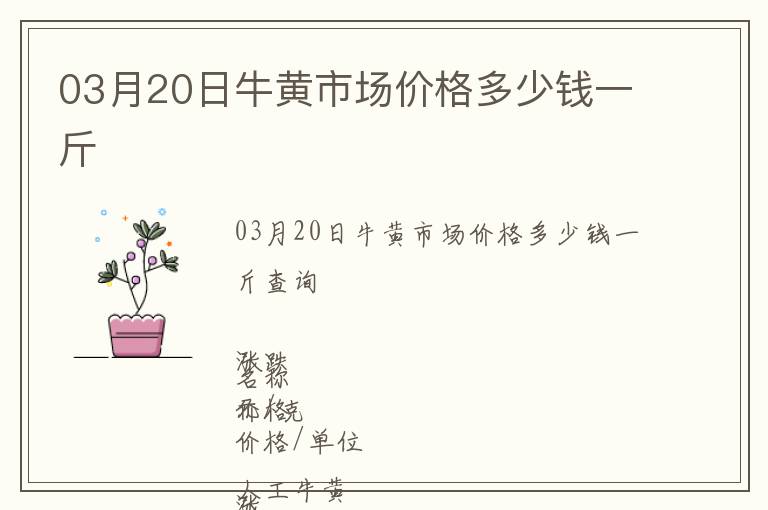 03月20日牛黃市場價格多少錢一斤