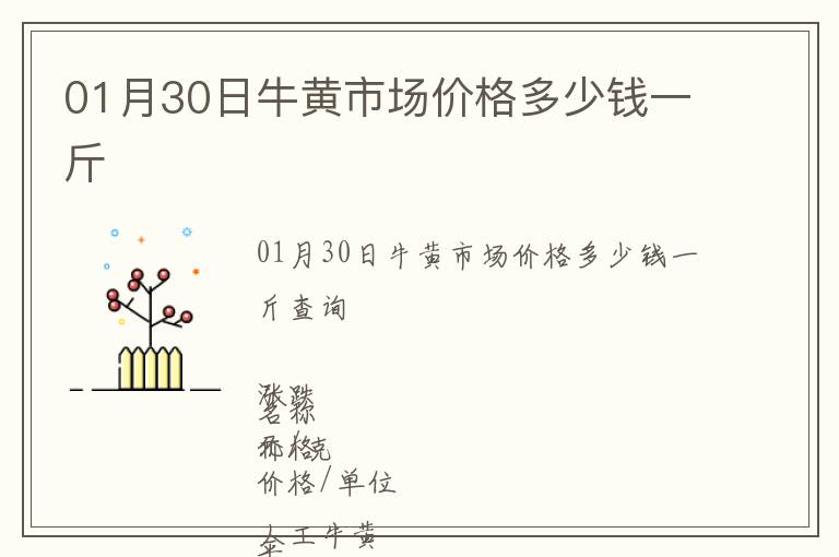 01月30日牛黃市場價格多少錢一斤