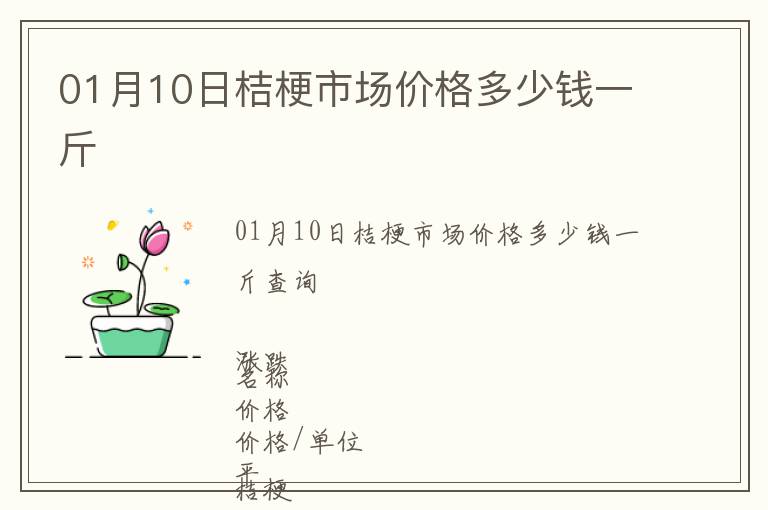 01月10日桔梗市場價格多少錢一斤