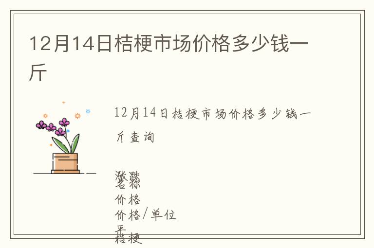 12月14日桔梗市場價格多少錢一斤