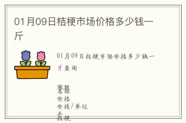 01月09日桔梗市場價格多少錢一斤