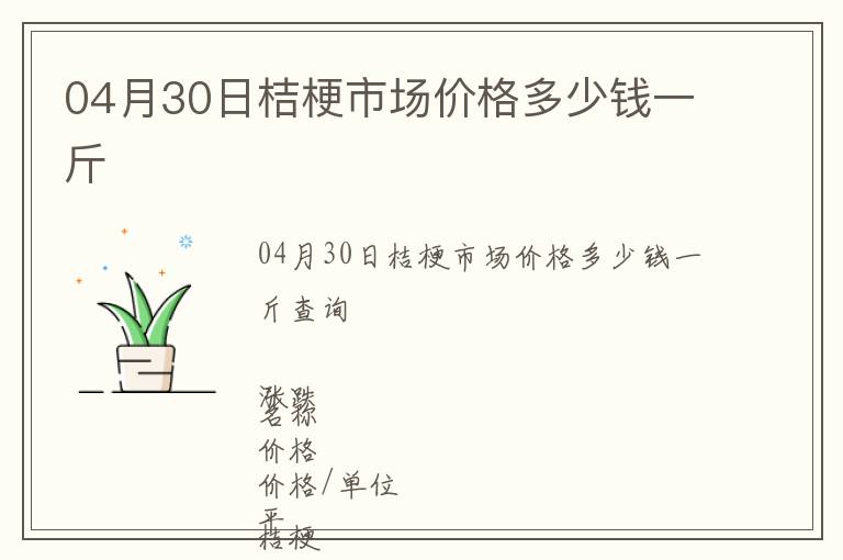 04月30日桔梗市場價格多少錢一斤