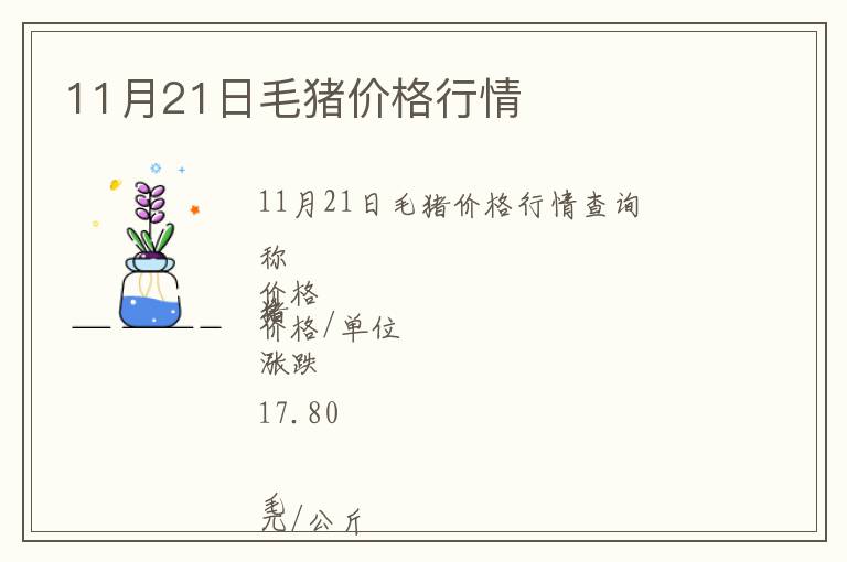 11月21日毛豬價格行情