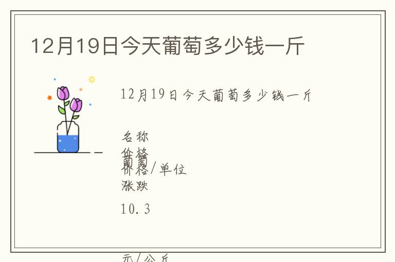 12月19日今天葡萄多少錢一斤