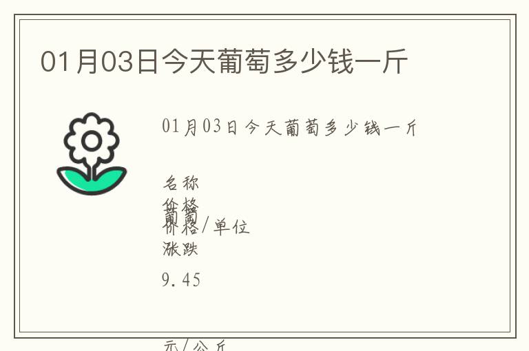 01月03日今天葡萄多少錢一斤