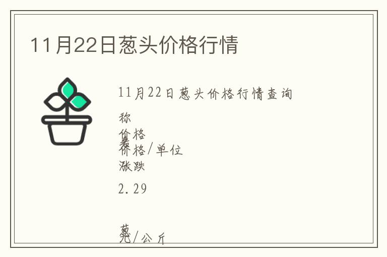 11月22日蔥頭價格行情