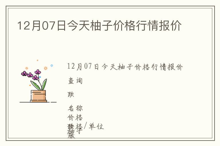 12月07日今天柚子價格行情報價