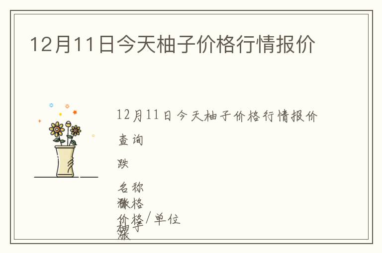 12月11日今天柚子價格行情報價