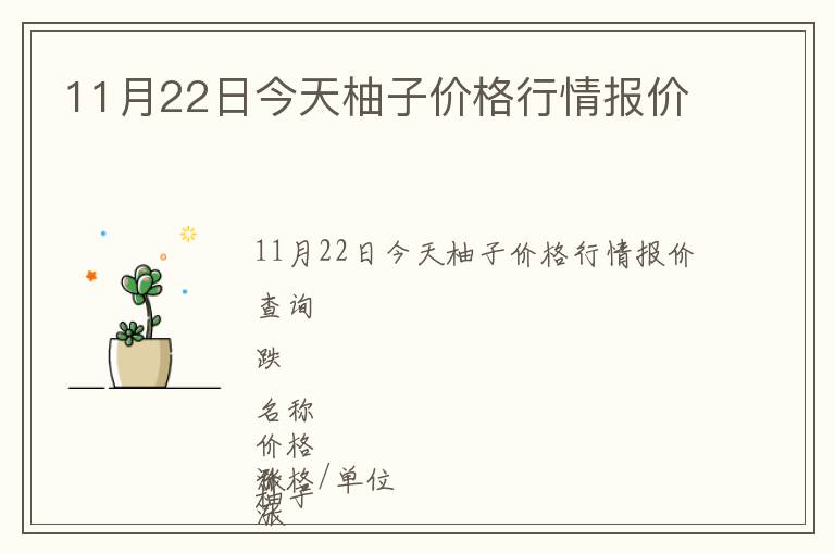 11月22日今天柚子價格行情報價