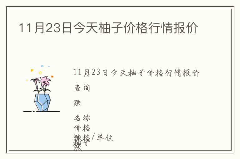 11月23日今天柚子價格行情報價