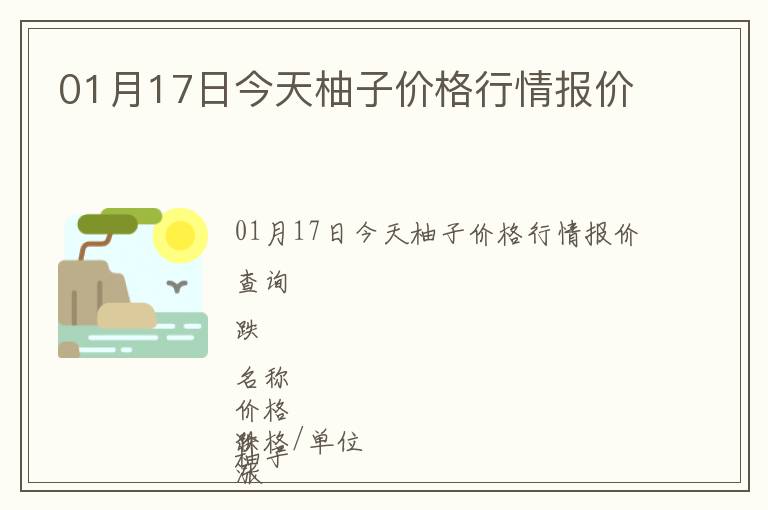 01月17日今天柚子價格行情報價