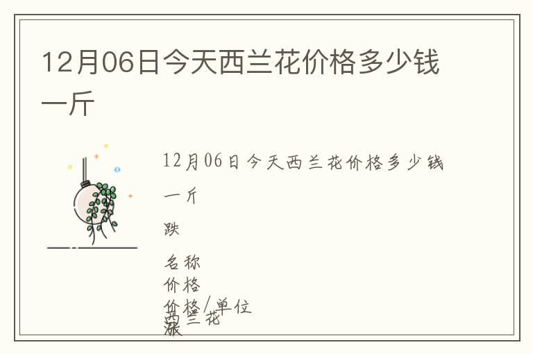 12月06日今天西蘭花價格多少錢一斤