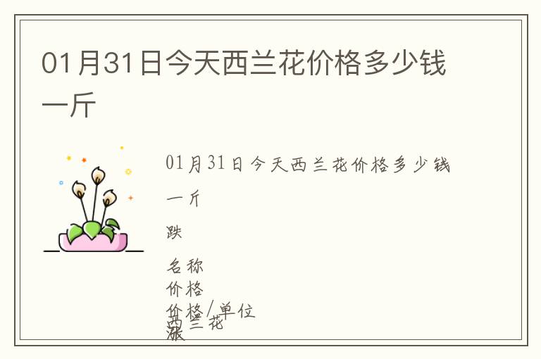 01月31日今天西蘭花價格多少錢一斤