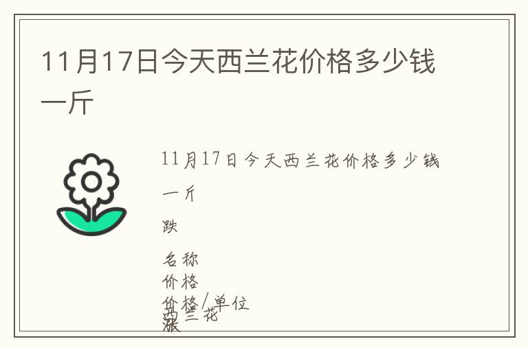 11月17日今天西蘭花價格多少錢一斤