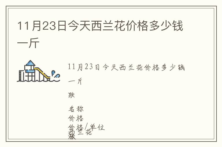 11月23日今天西蘭花價格多少錢一斤