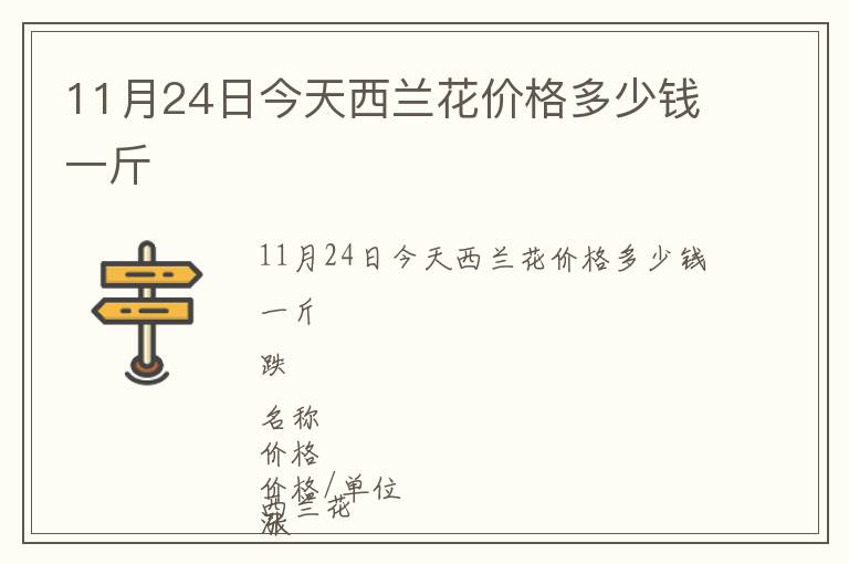 11月24日今天西蘭花價格多少錢一斤