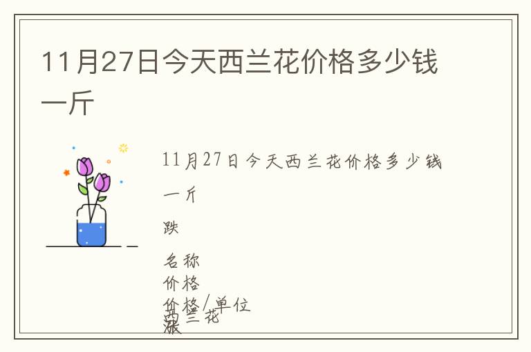 11月27日今天西蘭花價(jià)格多少錢一斤