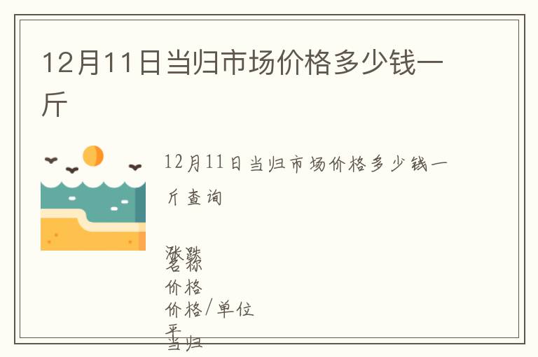 12月11日當歸市場價格多少錢一斤