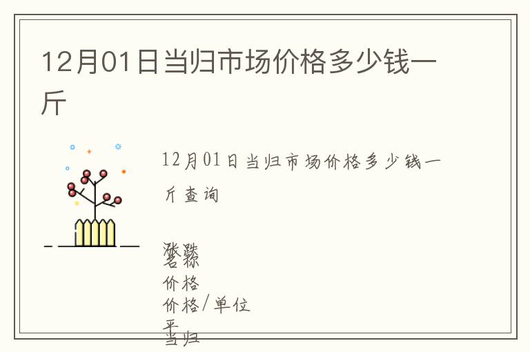 12月01日當歸市場價格多少錢一斤