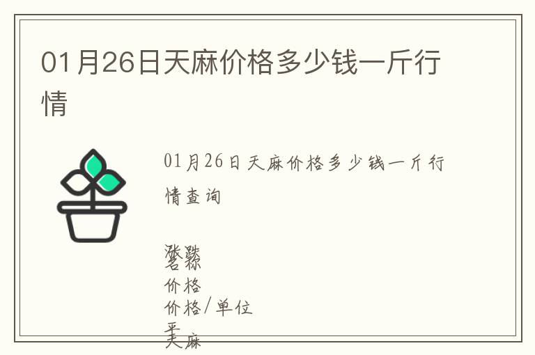 01月26日天麻價格多少錢一斤行情