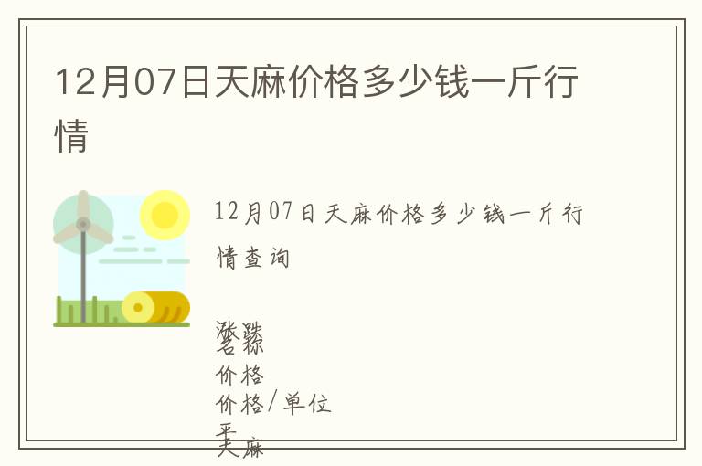 12月07日天麻價格多少錢一斤行情