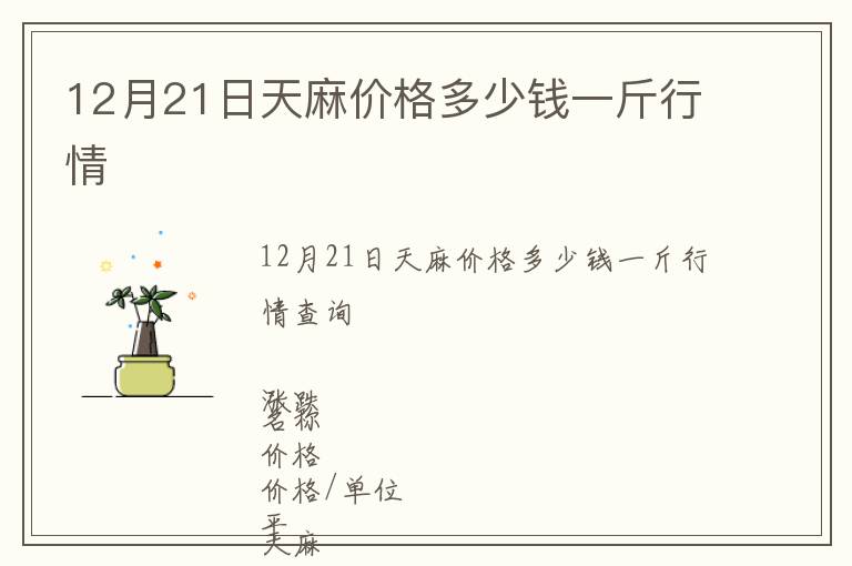 12月21日天麻價格多少錢一斤行情