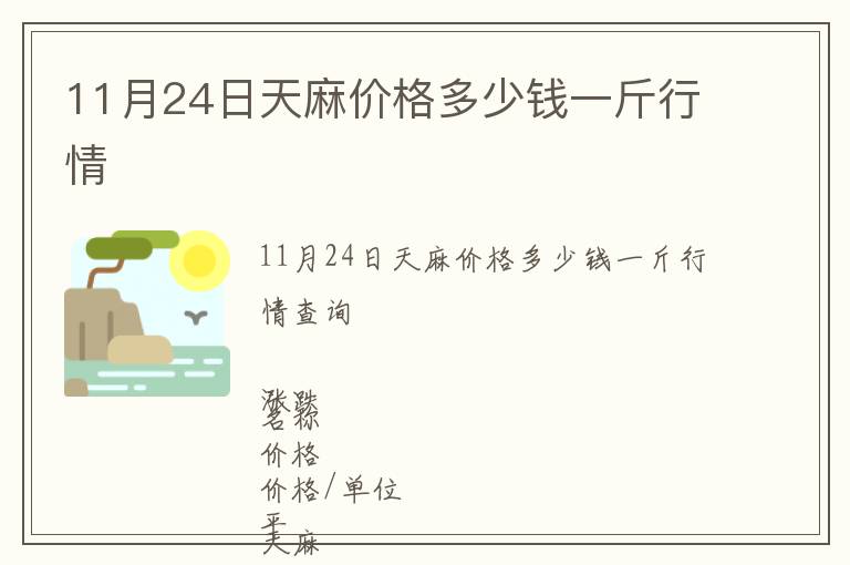 11月24日天麻價格多少錢一斤行情