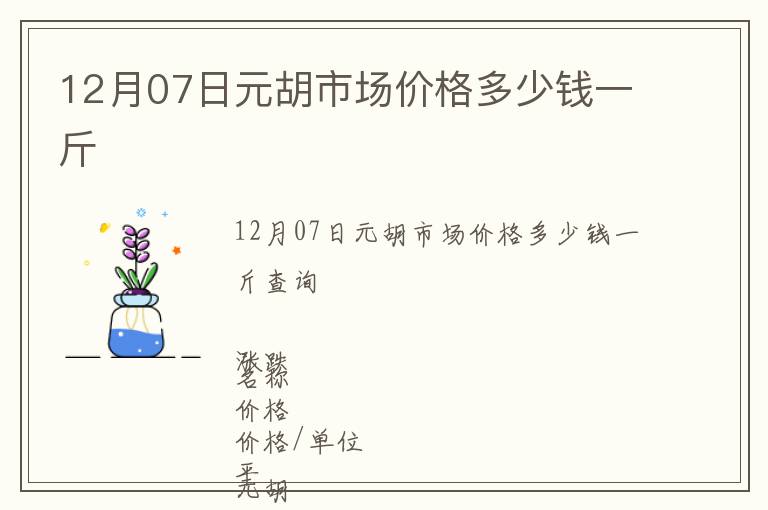 12月07日元胡市場價格多少錢一斤