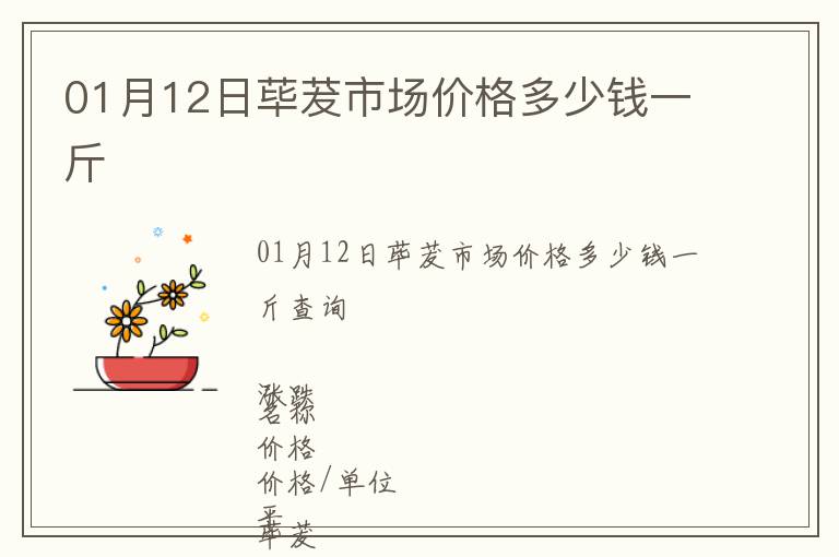 01月12日蓽茇市場價格多少錢一斤