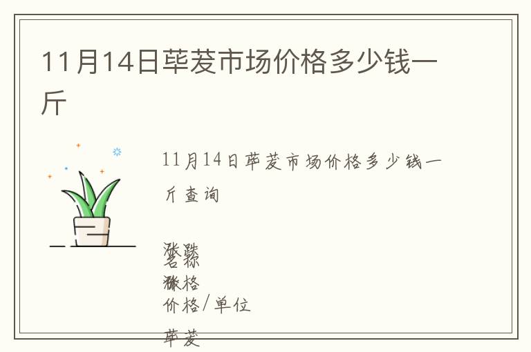 11月14日蓽茇市場價格多少錢一斤