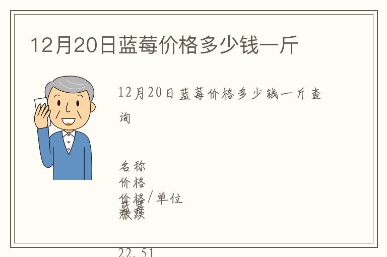 12月20日藍莓價格多少錢一斤