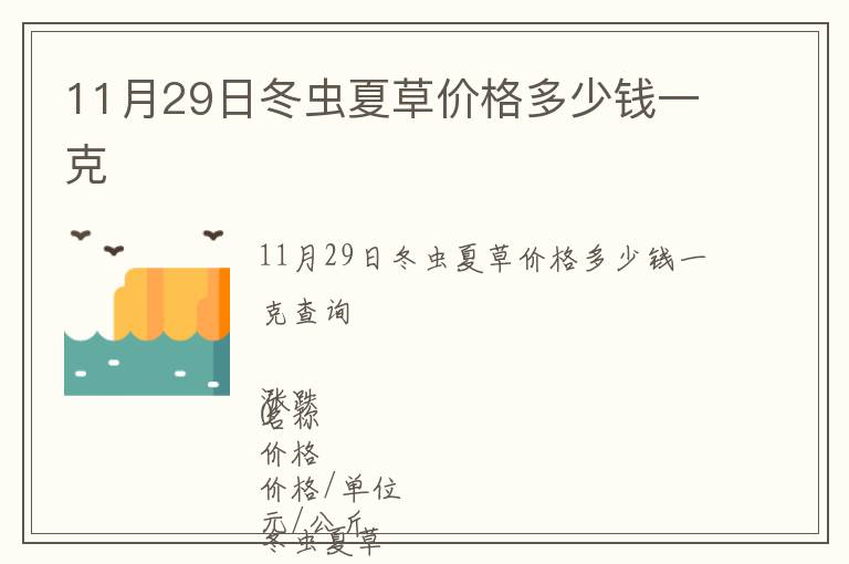 11月29日冬蟲夏草價格多少錢一克