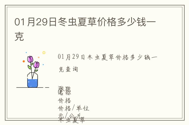 01月29日冬蟲夏草價格多少錢一克