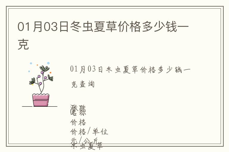 01月03日冬蟲夏草價格多少錢一克