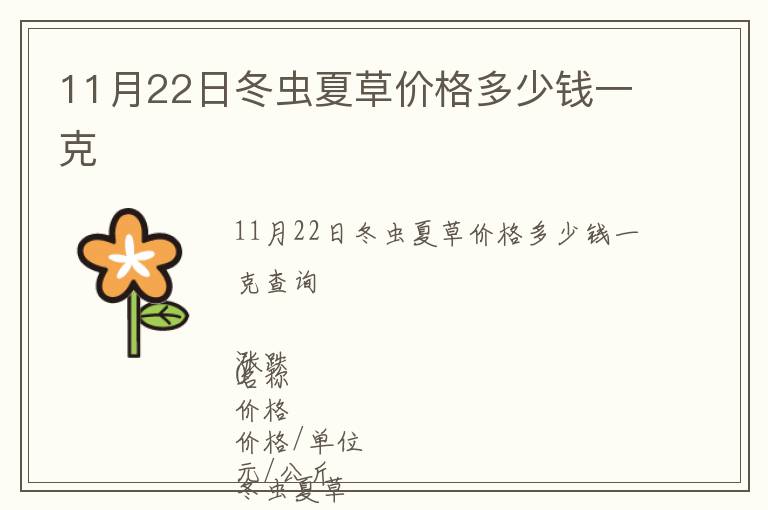 11月22日冬蟲夏草價(jià)格多少錢一克