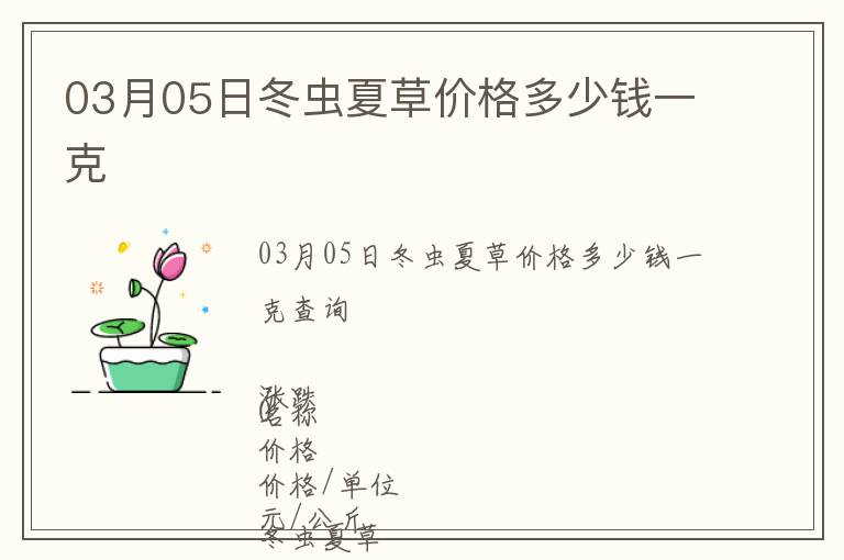 03月05日冬蟲夏草價(jià)格多少錢一克