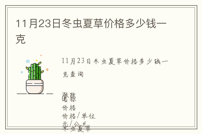 11月23日冬蟲夏草價格多少錢一克