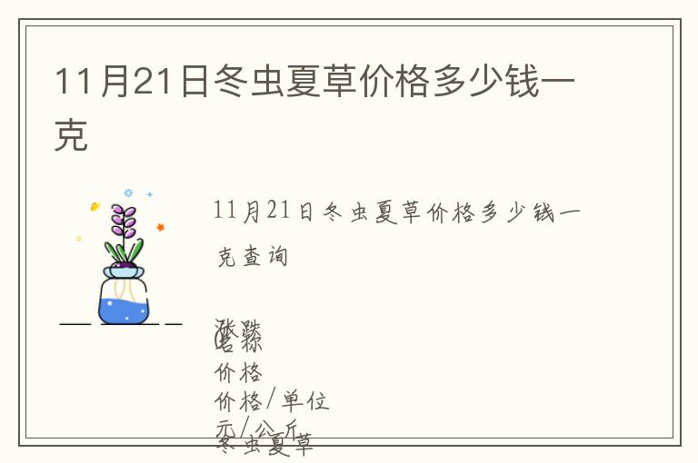 11月21日冬蟲夏草價格多少錢一克