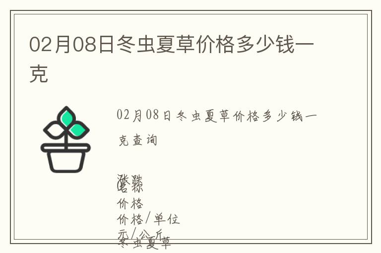 02月08日冬蟲夏草價格多少錢一克