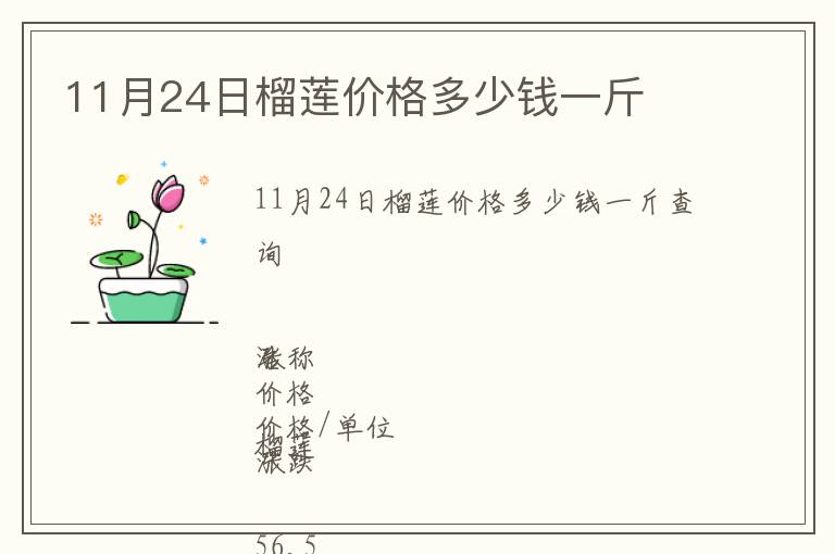 11月24日榴蓮價格多少錢一斤