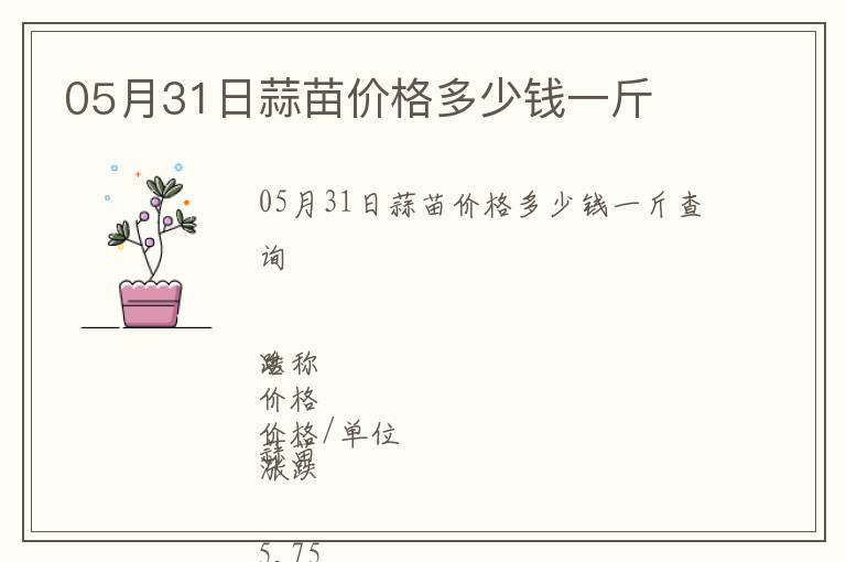 05月31日蒜苗價格多少錢一斤